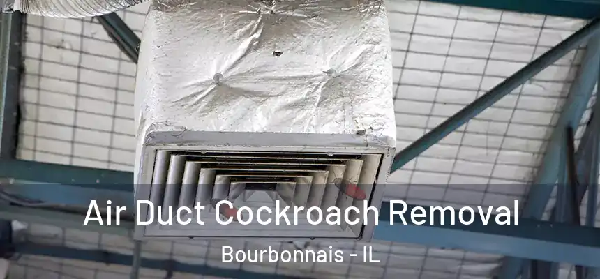 Air Duct Cockroach Removal Bourbonnais - IL