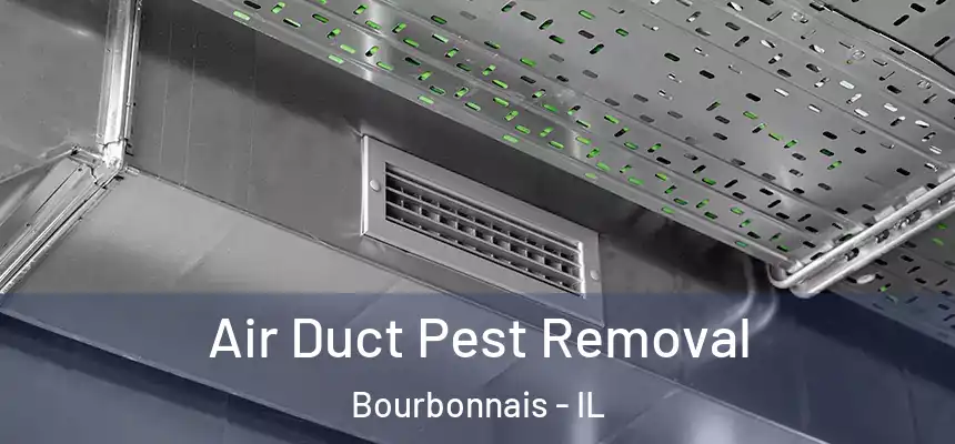 Air Duct Pest Removal Bourbonnais - IL