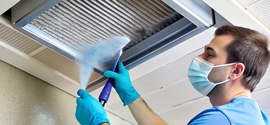 Proactive Dryer Vent & Auxiliary Duct Pollen Cleanup in Bourbonnais, IL