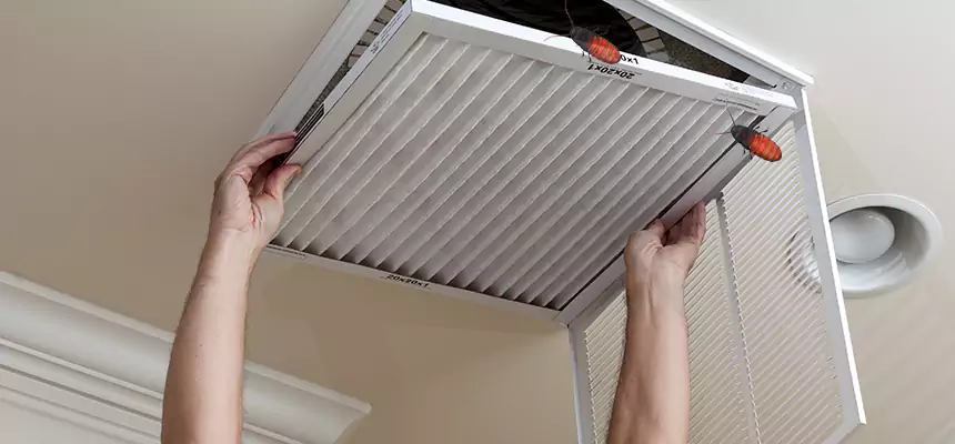 Our Insect Removal from Air Ducts Services in Bourbonnais, IL