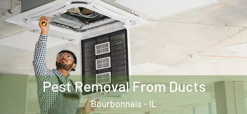  Pest Removal From Ducts Bourbonnais - IL
