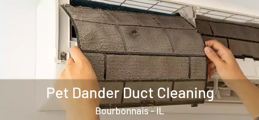  Pet Dander Duct Cleaning Bourbonnais - IL