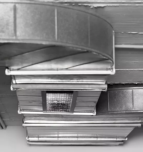 Professional Air Duct Pest Removal in Bourbonnais, IL