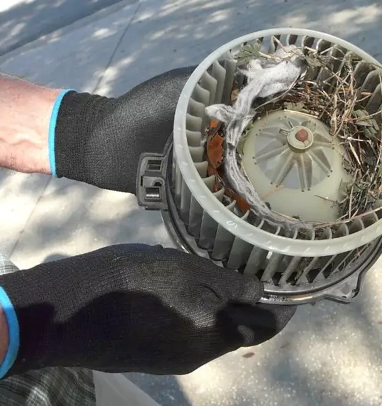 About Air Duct Rat Removal in Bourbonnais, IL