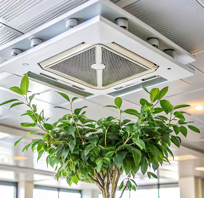 Why Homeowners & Businesses Trust Us in Bourbonnais, IL?